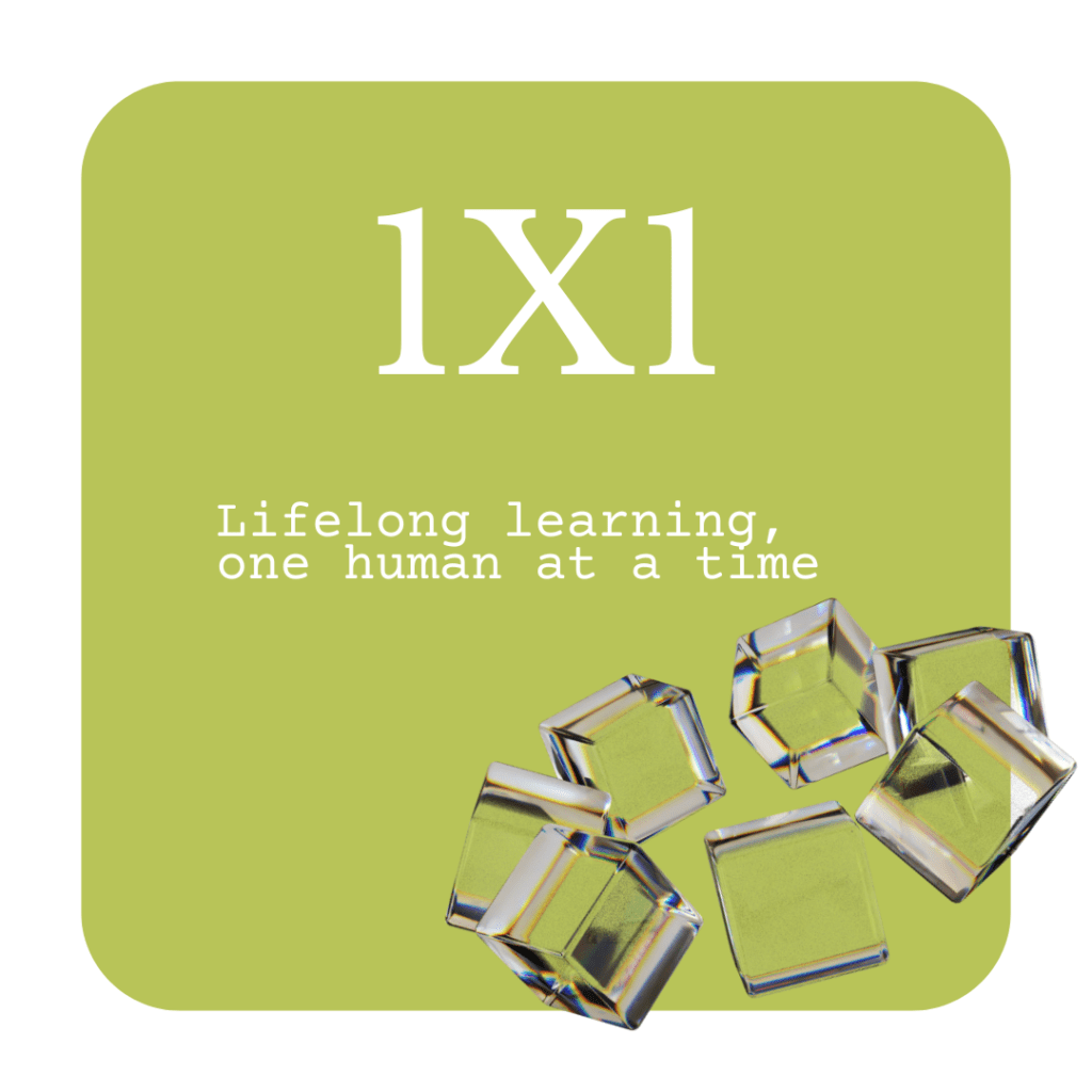 1x1 Lifelong learning, one human at a time.